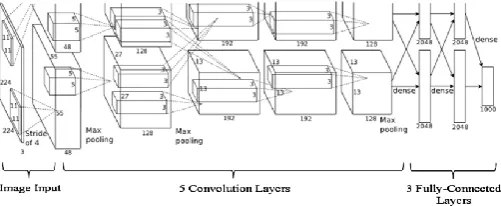 Figure. 3 AlexNet Architecture 