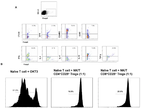 Figure 2. The biological characteristics and function of Foxp3+ Tregs subset. A. The flow cytometer profiles are repre-sentatives from the stainings for CTLA, GITR, CD45RO, CCR7, IFN, IL-2, IL-17, IL-10 and TGF in Foxp3+ Treg subset