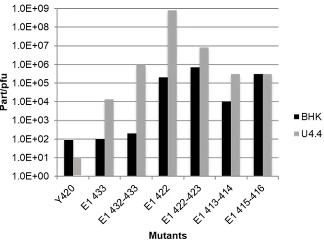 Figure 1.8: The particle-to-pfu ratios of the E1 mutants compared to wild type virus. E1Δ 422, E1Δ 422-423, E1Δ413-414, produced ~ 105.5 ,106 and 105 orders of magnitude of non-infectious virus respectively in BHK cells