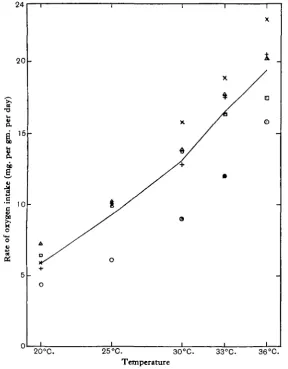Fig. 4. Rate of consumption of oxygen of five animals, each of which is represented by a characteristicsymbol