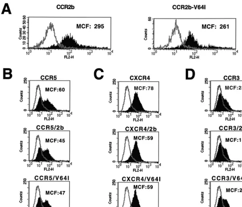 FIG. 1. Effects of CCR2b or CCR2b-V64I on HIV-1 coreceptor expression. Equal amounts of CCR2b and the V64I variant were transfected into 293T cells,expression was allowed for 18 h, and subsequently staining was done with biotinylated anti-CCR2b antibody R02 followed by phycoerythrin-conjugated streptavidin.