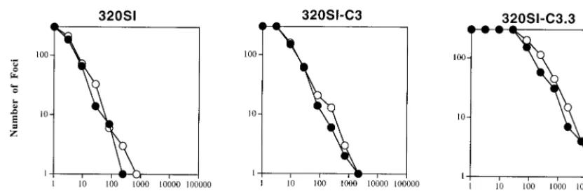 FIG. 1. Coreceptor utilization by pedigreed 320SI viruses. U87-CD4 cells expressing CCR5 (Eviruses: 320SI from PBL culture supernatant and 320SI-C3 and 320SI-C3.3 from FDA/H9 cell culture supernatant