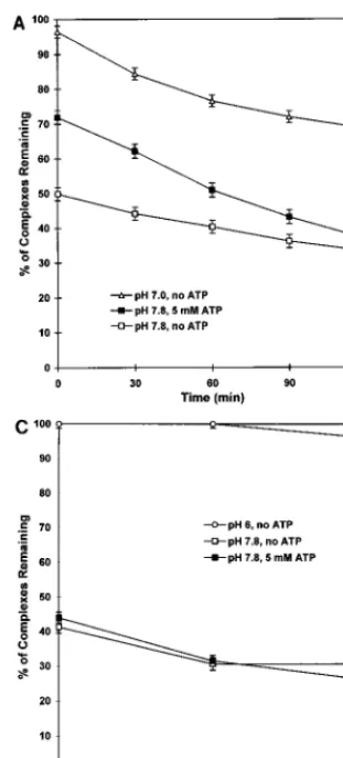 FIG. 3. Kinetics of dissociation of protein-DNA complexes on dilution fromlow to high pH in the presence or absence of ATP