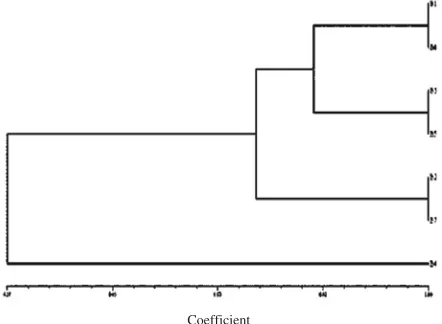 Fig. 1. Phylogenetic Tree for Bacterial Isolates