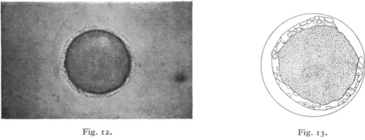 Fig. 12. 