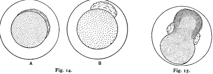 Fig. 14.