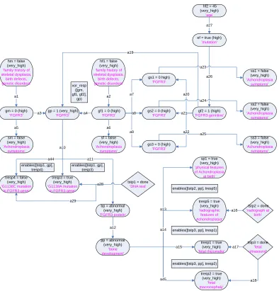 Figure 3-5: The posttest state of the Achondroplasia KB.