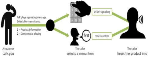 Figure 3:  Basic Structure of IVR 