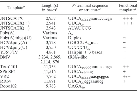 TABLE 1. Template speciﬁcity of the SIN P123C�S �nsP4 replicase in vitro
