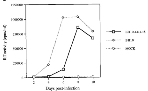 FIG. 2. Replication capacities of mutated BH10-LD3 and reverted BH10-LD3-18 viruses. (A) Growth curves of wild-type (BH10) and mutated (BH10-