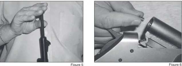Figure 5Figure 6