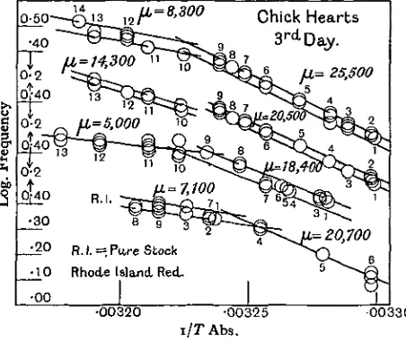 Fig. 2. Critical points in data from one three-day pure Rhode Island Red and three chicks ofi/T Abs.mongrel stock