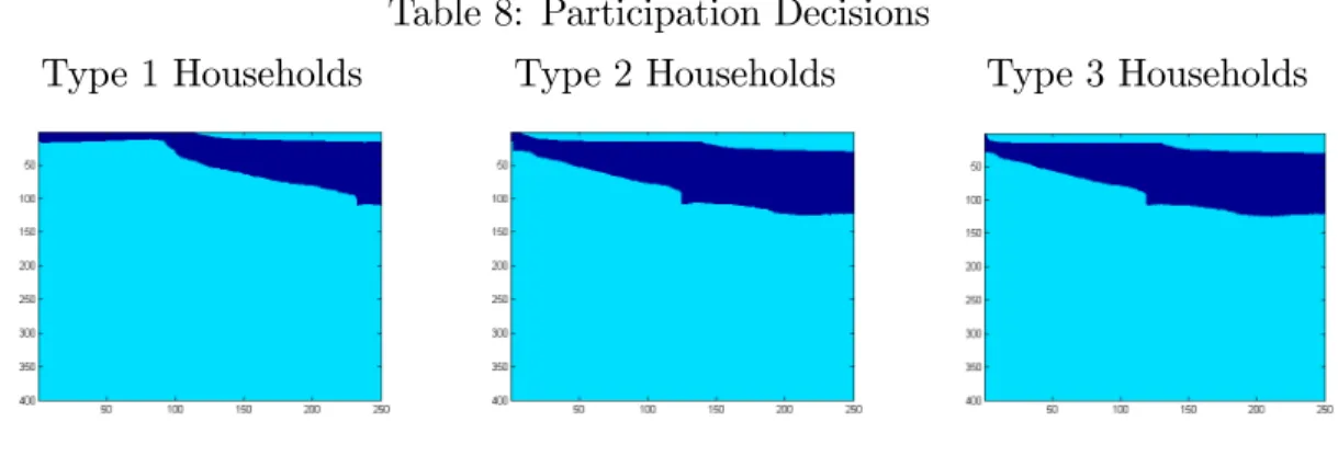 Table 8: Participation Decisions