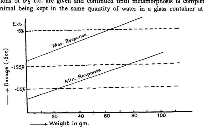 Fig. 1. Illustrating the limits in capacity of the axolotl to respond to the anterior pituitary injectionsfor metamorphosis