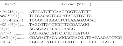 TABLE 1. Oligonucleotides used in this study