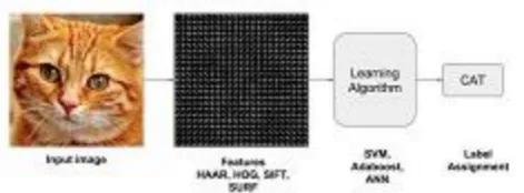 Figure 1: Object (cat) detection using traditional image processing 