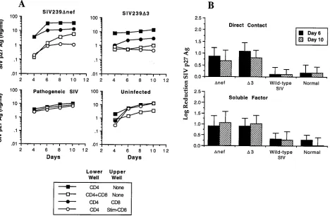 FIG. 1. Inhibition of SIV replication by CD8�for a total of 16 animals: 5 SIVmac239of SIV replication by CD8are shown for individual animals infected with the indicated SIV strain and for an uninfected control