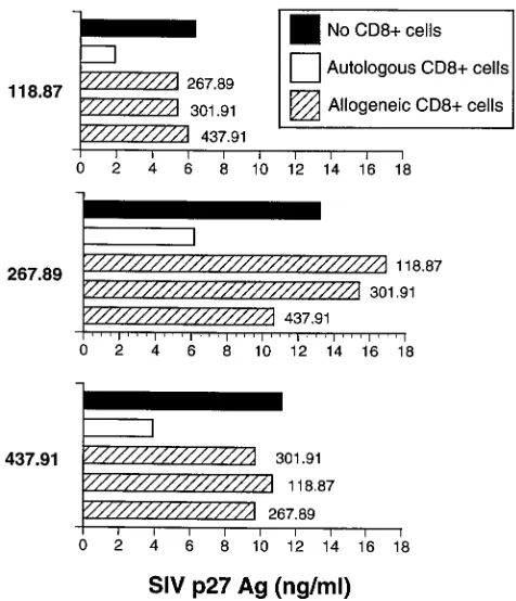 FIG. 2. Suppression of SIV replication by unstimulated CD8�contact with MHC class I-mismatched allogeneic CD8from uninfected animals or animals infected with pathogenic or live attenuatedstrains of SIV
