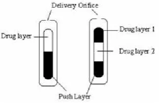 Figure 1: Oros® Push Pull Technology 