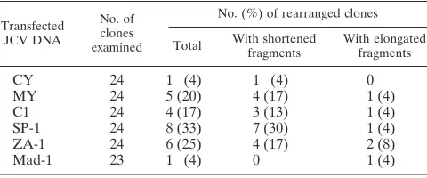 FIG. 2. Restriction analysis of JCV DNAs cloned from COS-7 cells transfected with various archetype JCV DNAs