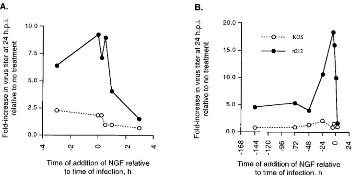 TABLE 1. Effects of PMA and second messenger analogson replication of n212 and KOSa