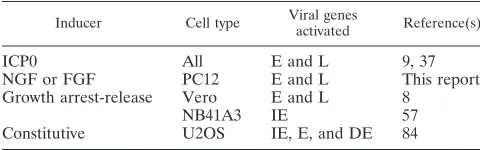 TABLE 2. Comparison of ICP0-like cellular activitiesexpressed in different cell types