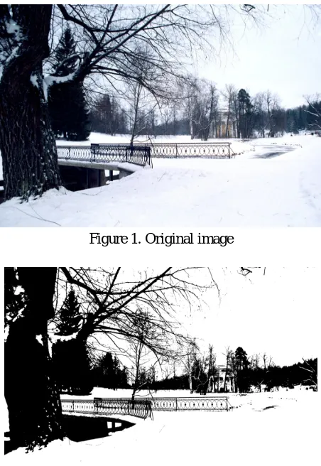 Figure 1. Original image 