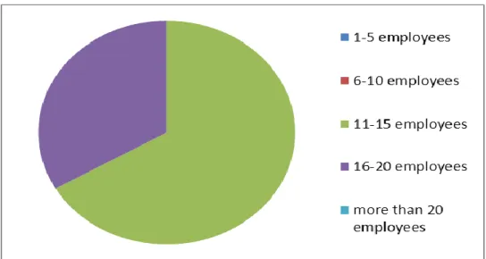 Figure  1-9  indicates  the  learner  contractor’s  company’s  contribution  to  job  creation