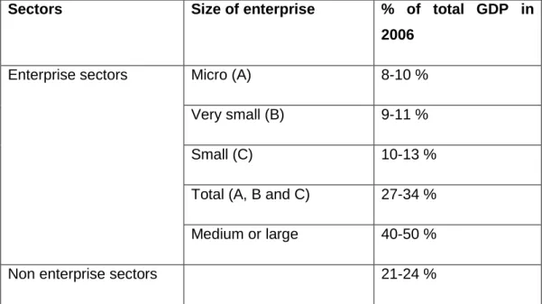 Table 1.2: Percentage contribution of micro, very small, small, and medium  / larger firms to GDP, 2006 