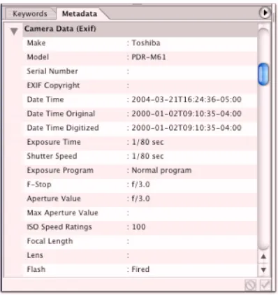 Figure 3. Photoshop technical metadata fields and XML code.
