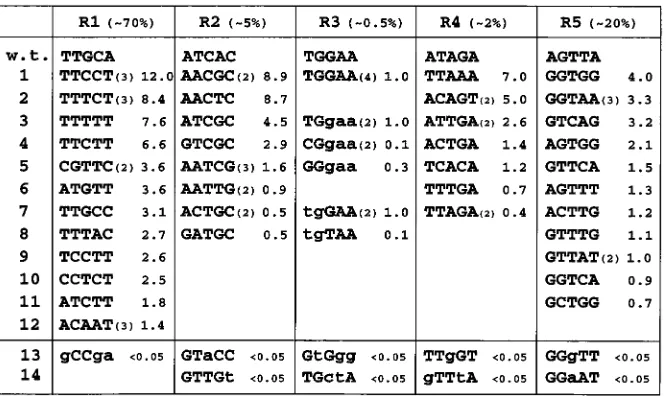 FIG. 2. Consensus Tas DNA binding sequence. This ﬁgure presents a com-pilation of the sequence data presented in Fig