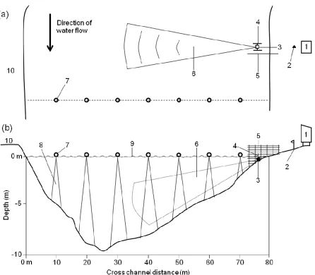 Figure 3.— A schematic top (a) and side view (b) of the study site at rkm 64 on the Roanoke River, NC, showing deployment of fixed split-beam and DIDSON transects