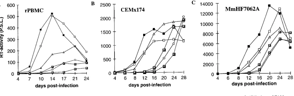 FIG. 8. Replication of SIVmac239 LTR variants containing point mutations in the SF1 to SF3 binding sites in conjunction with a deletion of all NF-�sites