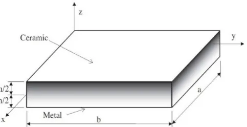 Fig. 1. Functionally graded plate and its dimensions.