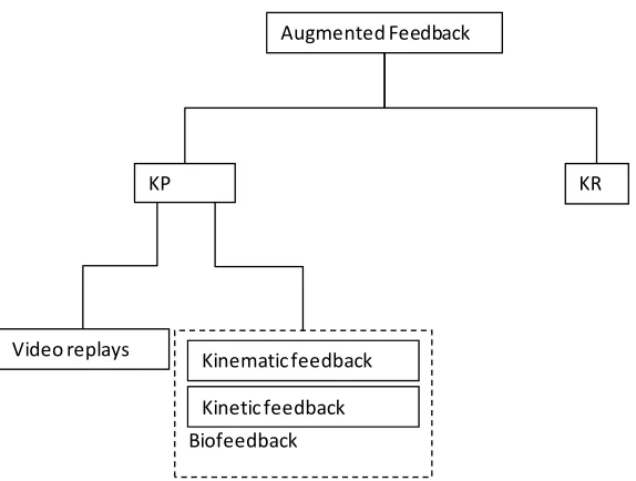 Figure 3. Taxonomy of augmented feedback 