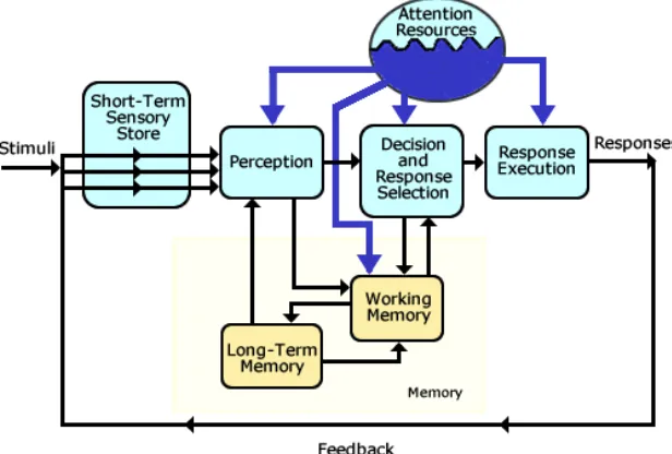 Figure 4. Human information processing model from Wickens (1999) 
