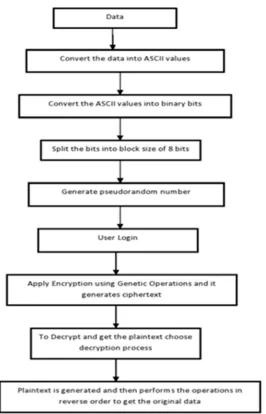 Figure 3. Representation of Proposed Work 