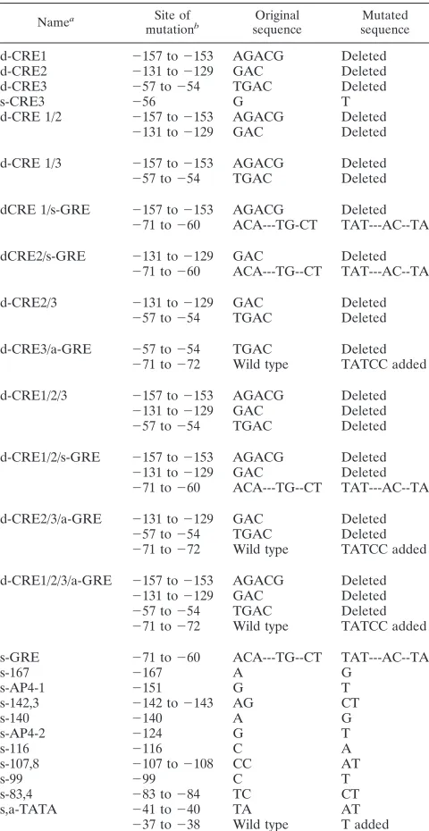 TABLE 2. Sequence changes of 25 BLV LTR mutantsmade by site-directed mutagenesis