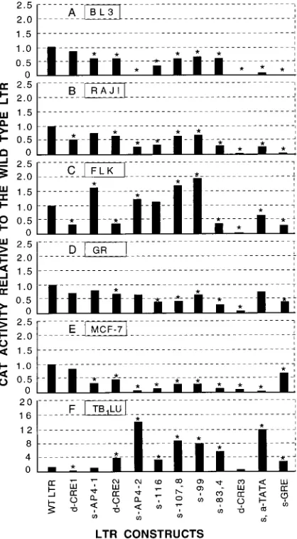 FIG. 5. Promoter function of the wild-type BLV LTR and 11 LTR mutantsin six different cell lines: BL3 (bovine B lymphocytes) (A), Raji (human B