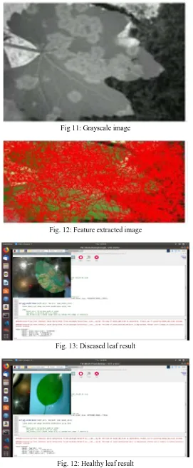 Fig. 12: Healthy leaf result 