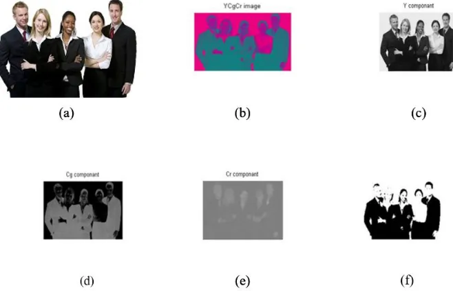 Fig. 1. The skin-color segmentation:(a) Original image (b) Image in YCgCr space(c) Y Component (d) Cg Component (e) Cr  Component (f) Binary image morphological operations 