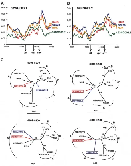 FIG. 5. Recombination breakpoint analysis of 92NG083.2 and 92NG003.1. (A and B) Diversity plots comparing the sequence relationships of 92NG003.1 and92NG083.2 to each other and to reference sequences from the database