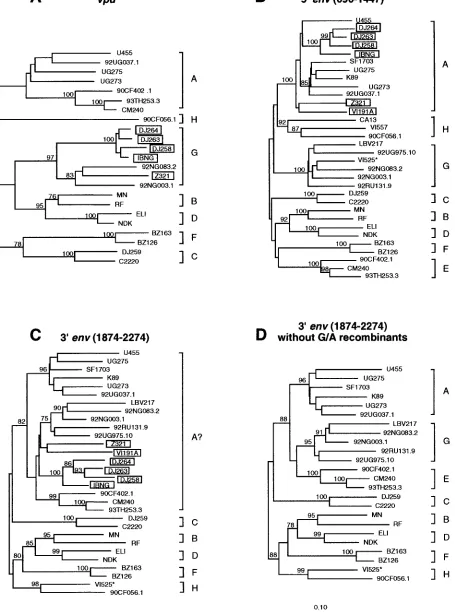 FIG. 7. Phylogenetic relationships of subtype G (and “E”) viruses in vpuD) regions to reexamine the subtype associations of previously classiﬁed subtype A, G, and “E” viruses (19)