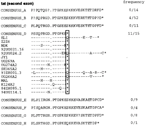 FIG. 8. Subtype-speciﬁc genome features. (A) Alignment of deduced Tat (region encoded by second exon) amino acid sequences