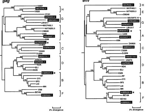 FIG. 1. Phylogenetic relationships of the newly characterized viruses (highlighted) to representatives of all major HIV-1 (group M) subtypes in gagTrees were constructed from full-lengthbranch lengths are drawn to scale (the scale bar represents 0.02 nucle