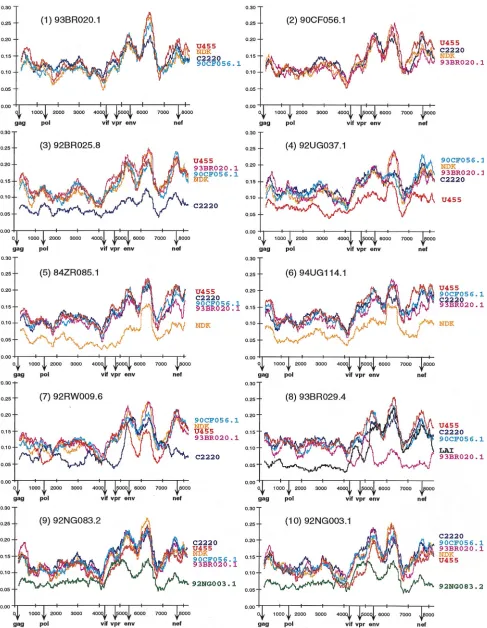 FIG. 2. Diversity plots comparing the sequence relationships of the newly characterized viruses to each other and to reference sequences from the database
