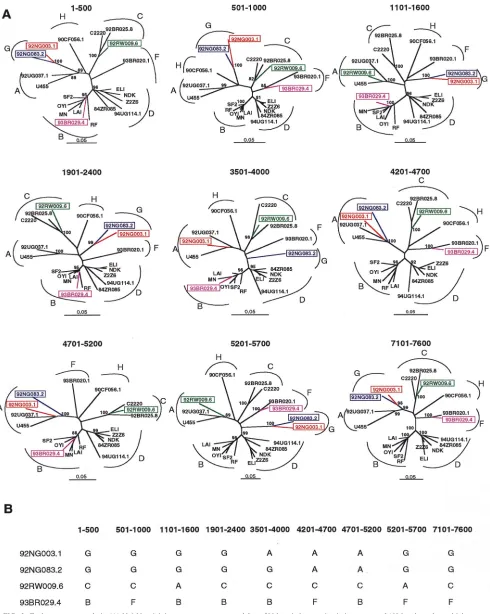 FIG. 3. Exploratory tree analysis. (A) Neighbor-joining trees were constructed for a 500-bp window moving in increments of 100 bp along the multiple genomealignment