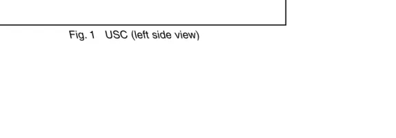 Fig. 1   USC (left side view)