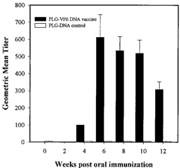 FIG. 1. Diagram of the pCMVIA vector and the virus cDNA insert. SV 40Ori, simian virus 40 origin of replication; CMV Pro, CMV immediate-early