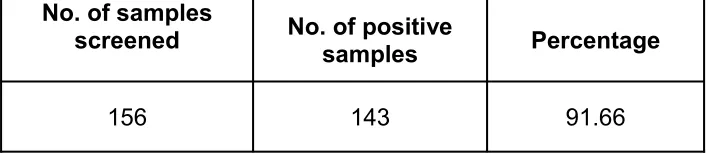 TABLE  6SIGNS OF CASES PRESENTING WITH LEPTOSPIROSIS  n=156